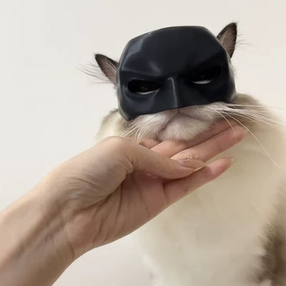 Bat Cat Mask Pet Toy