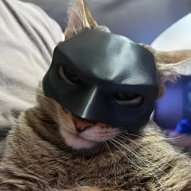 Bat Cat Mask Pet Toy