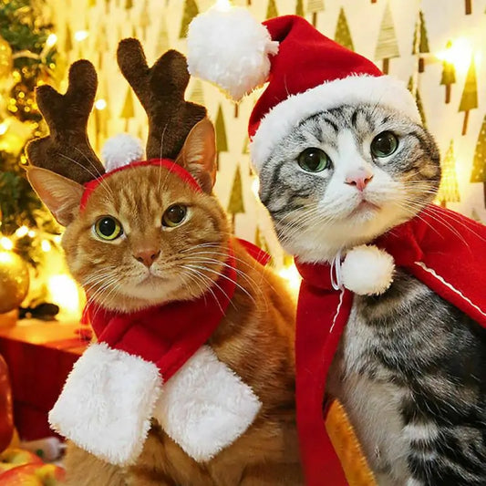 Pet Christmas Customes