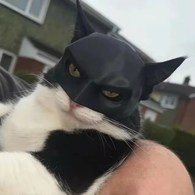 Bat Cat Mask Pet Toy