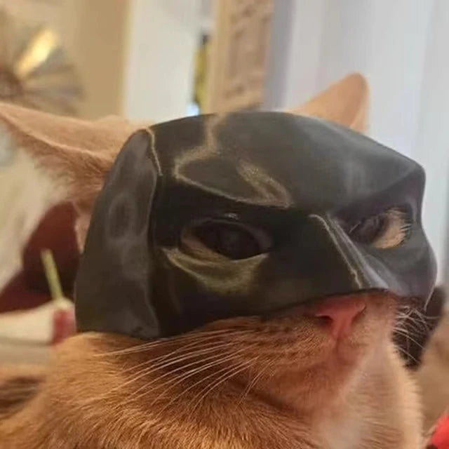 Bat Cat Mask Pet Toy